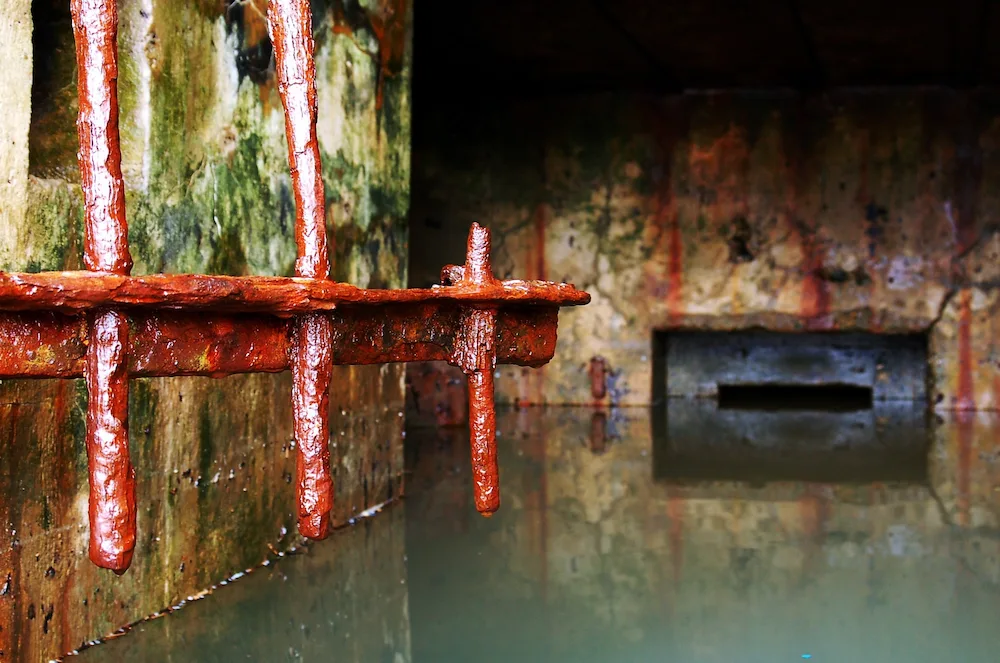 What Causes Sewer Line Failure