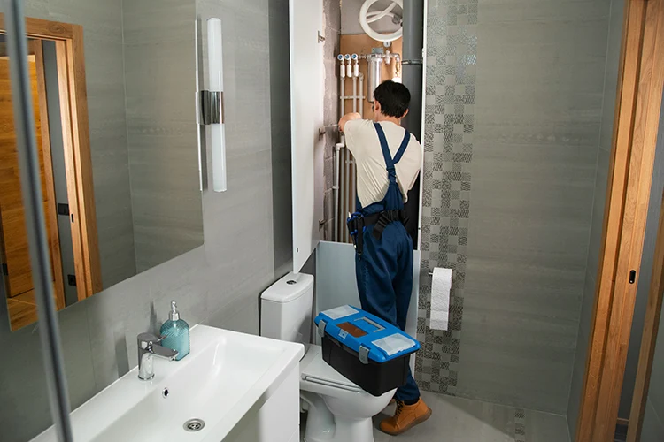 Common Toilet Problems